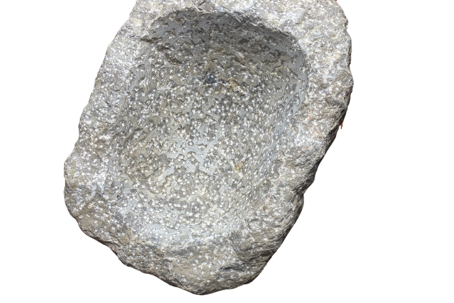 pietra rustica grigia