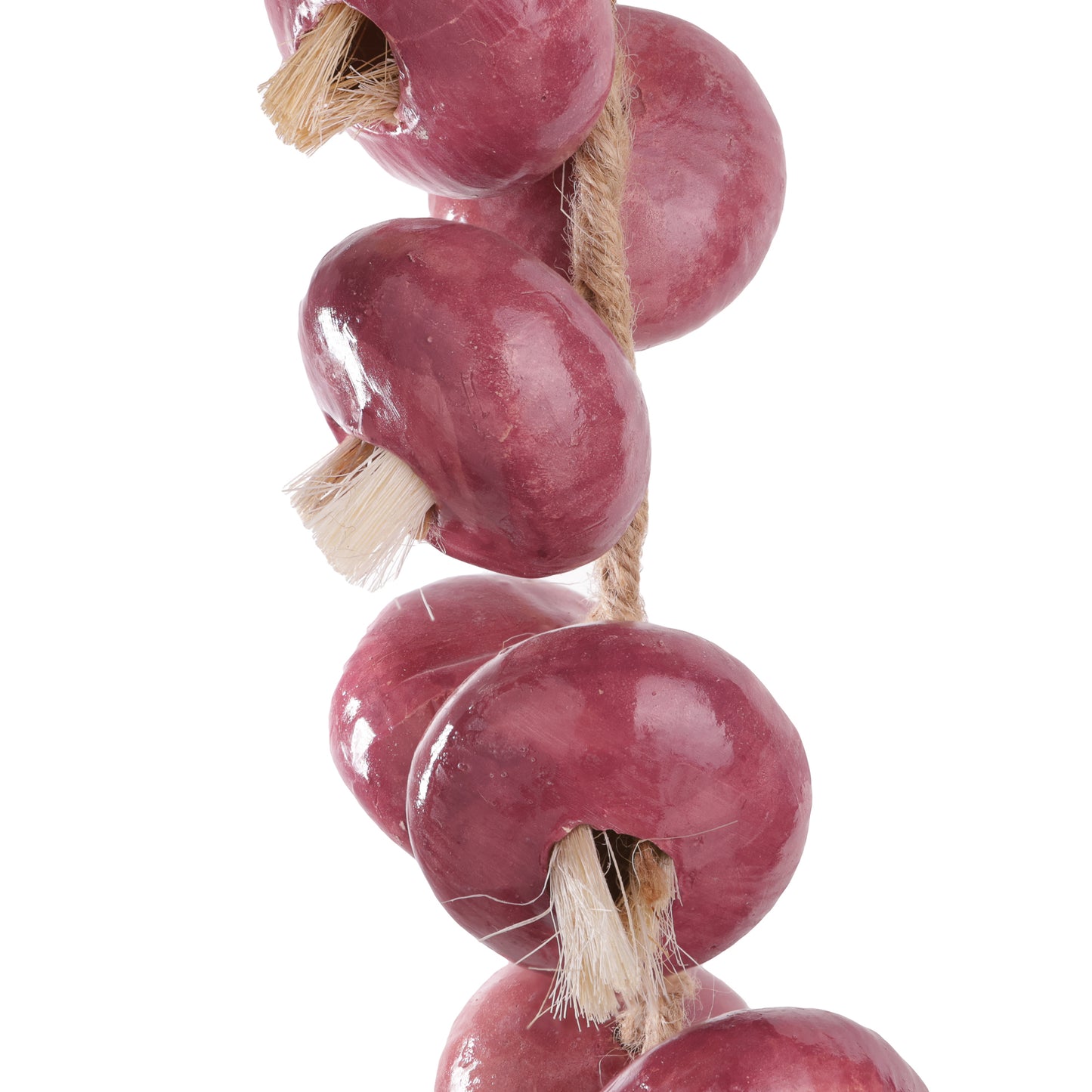 Cipolle in ceramica ornamentali da appendere